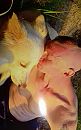 my, foto 1387x2220, 0 reacties, 0 stemmen