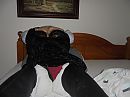 my honey, foto 4000x3000, 0 reacties, 0 stemmen