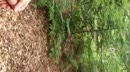 naakt in het bos, film 00:00:00, 8 reacties, 27 stemmen