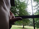 naakt boshut, foto 2592x1940, 3 reacties, 7 stemmen
