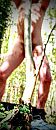 net niet, foto 384x889, 0 reacties, 1 stemmen