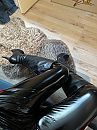 op bed, foto 3000x4000, 1 reacties, 4 stemmen