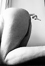 piggy..., foto 2247x3212, 24 reacties, 49 stemmen