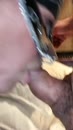pijpen en klaar gaan zitten, film 00:00:00, 51 reacties, 250 stemmen
