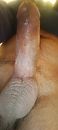 pik, foto 1798x4000, 56 reacties, 61 stemmen