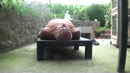 planten water geven, film 00:00:00, 40 reacties, 184 stemmen