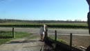 postvrouwke, film 00:00:11, 29 reacties, 189 stemmen