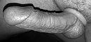 ready...... for....., foto 3641x1741, 5 reacties, 17 stemmen