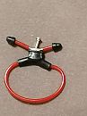 ringtest, foto 3000x4000, 1 reacties, 2 stemmen