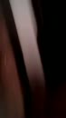 ruig gewent en gehoorzaam, film 00:00:00, 3 reacties, 21 stemmen