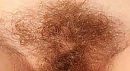schaamhaar, foto 303x166, 8 reacties, 18 stemmen