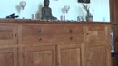 sensueel, film 00:00:00, 30 reacties, 129 stemmen