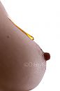 shoot, foto 667x1000, 13 reacties, 57 stemmen