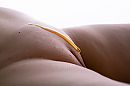 shoot, foto 1000x667, 21 reacties, 78 stemmen