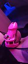 sissy mee, foto 1801x4000, 1 reacties, 2 stemmen