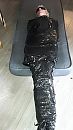 slavin tressa, foto 1836x3264, 0 reacties, 2 stemmen