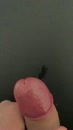 slowmo, film 00:00:00, 2 reacties, 5 stemmen