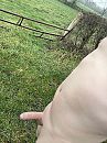 spannend, foto 2316x3088, 20 reacties, 49 stemmen
