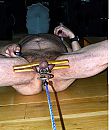 stretch 2, foto 3075x3595, 1 reacties, 9 stemmen