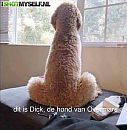 t,is maar hoe je het bekijkt, foto 538x550, 5 reacties, 18 stemmen