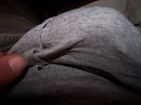 tease, foto 1000x750, 0 reacties, 1 stemmen