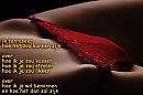 tekst, foto 400x266, 10 reacties, 24 stemmen