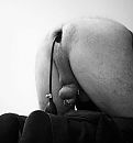 the pig..., foto 430x461, 26 reacties, 83 stemmen