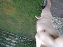 toen het nog zomer was, foto 4000x3000, 4 reacties, 21 stemmen