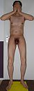 van top tot teen, foto 1527x4000, 1 reacties, 10 stemmen