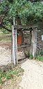 veluwemilfje, foto 1944x4000, 18 reacties, 60 stemmen