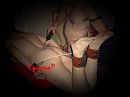 violet wand, foto 546x410, 1 reacties, 13 stemmen