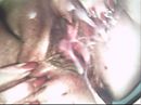 volgespoten,, foto 2048x1535, 1 reacties, 4 stemmen