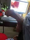 voor jou,, foto 3000x4000, 1 reacties, 2 stemmen