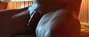 wat is het hier warm ......., foto 1775x757, 23 reacties, 56 stemmen