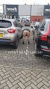 wat ligt daar dan, foto 2250x4000, 23 reacties, 161 stemmen