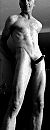 wat vind je, foto 234x600, 1 reacties, 6 stemmen