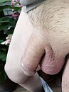 weeral, foto 3000x4000, 2 reacties, 4 stemmen