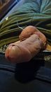 welke dame, foto 2160x3840, 1 reacties, 4 stemmen