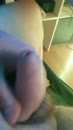 wie wil, film 00:00:22, 4 reacties, 20 stemmen