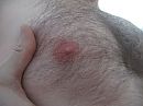 wie?, foto 4000x3000, 4 reacties, 12 stemmen