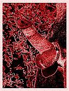 xxx, foto 1500x1961, 0 reacties, 3 stemmen