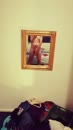 xxxx, film 00:00:14, 0 reacties, 1 stemmen