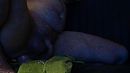 xxxxxxxx, foto 640x360, 0 reacties, 0 stemmen
