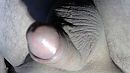 zin, foto 1280x720, 2 reacties, 8 stemmen