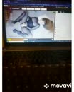 zo geil......, film 00:00:15, 0 reacties, 3 stemmen