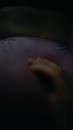 zo lekker dit, film 00:00:07, 5 reacties, 32 stemmen