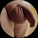 zo maar ;), foto 1769x1769, 1 reacties, 2 stemmen