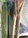 zo maar lekker ondeugend, foto 412x550, 8 reacties, 15 stemmen