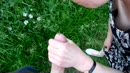 zomerpret, film 00:00:00, 73 reacties, 260 stemmen
