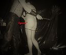 zweep, foto 2084x1764, 0 reacties, 30 stemmen